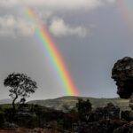 Rainbow arching across a cloudy sky over a rocky hillside with a lone bent tree in the foreground.
